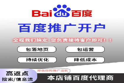 某企业通过SEM实现品牌与销售双增长的案例